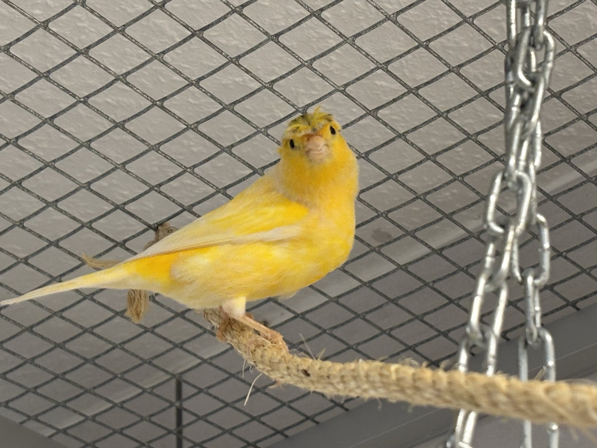 WhatsApp Image 2025-12-10 at 16.06.38.jpeg